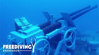 Freediving NEW Trident Wreck in Barbados [upl. by Ihsir]