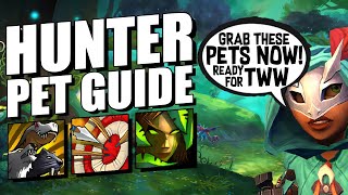 The ULTIMATE Hunter Pet Guide [upl. by Orna]