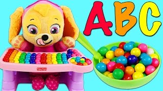 LEARN ABC Song with Paw Patrol Baby Skye Part 1 [upl. by Seyah532]