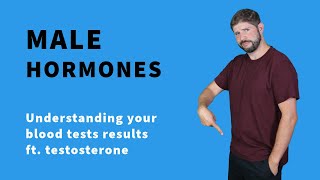 Testosterone blood test explained and your other male hormones [upl. by Ardnoyek554]