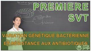 Variation génétique bactérienne et résistance aux antibiotiques  SVT  1ère  Les Bons Profs [upl. by Angelle148]