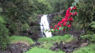 Waimea Falls Tour  Things to Do in Oahu Hawaii [upl. by Ahcsropal]