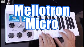 Mellotron Micro Demo amp Review [upl. by Yates]