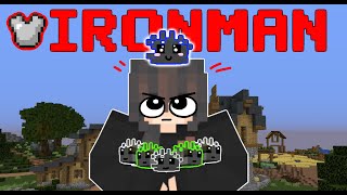 IRONMAN A SILVERFISH MADE ME CRY Hypixel Skyblock Ep9 [upl. by Dudley]