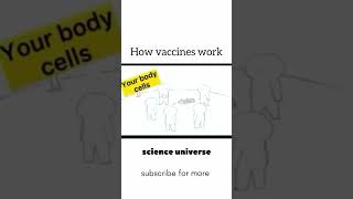 How vaccine works  funnyshorts biology 1million viralshorts [upl. by Atinahs]