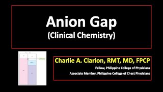 Anion Gap [upl. by Airotciv]