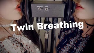 ASMR Twin Breathing amp Ear Blowing with Inhaling 😂 [upl. by Artenahs]