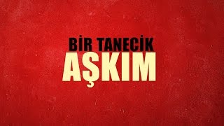 Gülçin Ergül  Bir Tanecik Aşkım Official Lyric Video [upl. by Clabo]