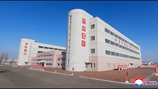 Process of Serial Production of Medicines Updated at the Hungnam Pharmaceutical Factory Korean [upl. by Oibaf]