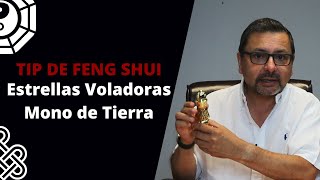 Feng Shui Tips  Estrellas Voladoras Agosto 2022 [upl. by Antonia46]