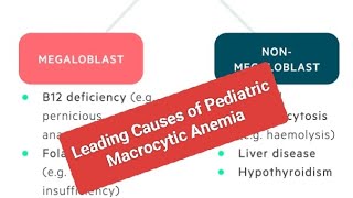 Leading Causes of Pediatric Macrocytic Anemia [upl. by Hylton]