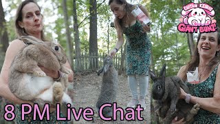 Giant Bunz  Flemish Giant Bunny Rabbit Stream  Live Chat  Day 135  20241124 [upl. by Kerstin]