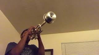 Smooth jazz trumpet with mute [upl. by Ainollopa663]