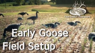 Early Season Goose Field Hunting Decoy Spread  Waterfowl Setup [upl. by Hospers]