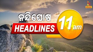 Headlines 11AM  6th December 2024  NandighoshaTV [upl. by Chick]