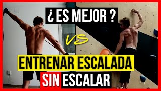 🔴Entrenamiento de escalada SIN ESCALAR 6 EJERCICIOS para ESCALADA en CASA EJERCICIOS TRX escalada [upl. by Miuqaoj998]