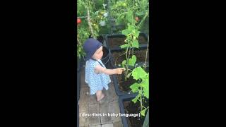 BABY PEES IN GREENHOUSE [upl. by Yelra]