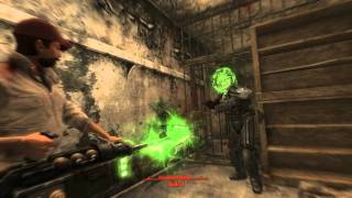 Fallout New Vegas Mods Dog City  Part 2 [upl. by Spatz]