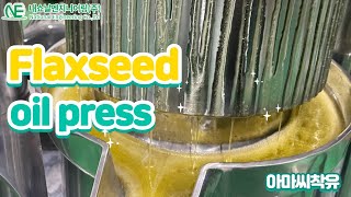 Flaxseed oil Flax seeds cold press flaxseed press [upl. by Zelda]