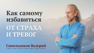 Как пройти свой жизненный путь без страха и тревог Валерий Синельников [upl. by Joela]