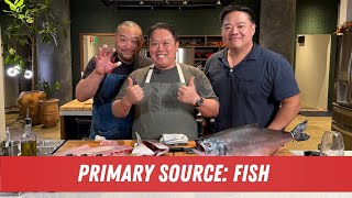 DCS LIVESTREAM  Primary Source Fish with The Joints Liwei Liao [upl. by Barri966]