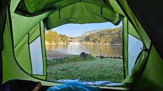 Camping at waterfall makes a morning perfect  New Zealand  Camping  Haruru Falls [upl. by Reteip199]