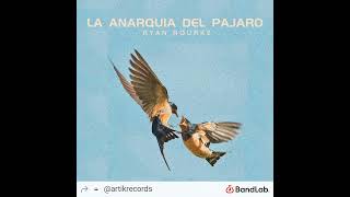 Ryan Rourke  La Anarquia Del Pájaro [upl. by Bilek]