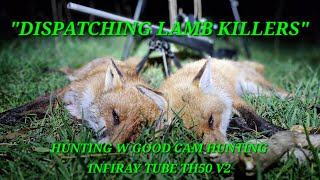 DISPATCHING LAMB KILLERS  Hunting With Good Cam Hunting  INFIRAY TUBE TH50 V2 [upl. by Aioj212]