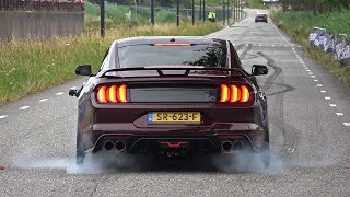 Ford Mustang 50 V8 Royal Crimson GT Performance  BURNOUT amp SOUND [upl. by Bobbi919]