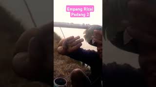 Lepasan 15 kwintal Nila Nirwana amp Albino ‼️Perdana Empang Rizal Padang 2 [upl. by Nylecaj318]