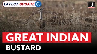 Great Indian Bustard  Rajasthan  Latest Update  Drishti IAS English [upl. by Ezarra]