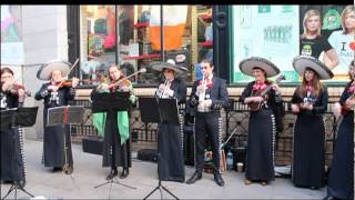 Mariachi San Patricio St Patricks Day Dublin 2012 [upl. by Averell]