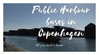 Harbour buses in Copenhagen  what you need to know [upl. by Etterraj]