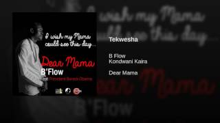 Tekwesha Ft Chef 187 Official Video  B Flow [upl. by Leizo101]