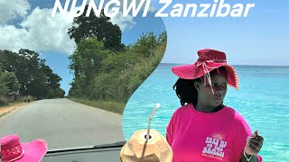 Vlog  Road Trip to Nungwi Zanzibar🇹🇿 [upl. by Tedd]