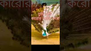 Shri Krishna Bani in Bangla krishna krishnabhajan motivation shorts Bhagavad Gitabani quotes [upl. by Chrisoula896]