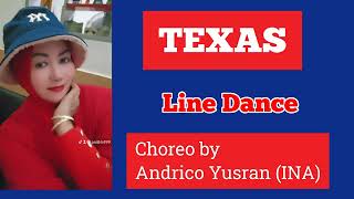 TEXAS Line Dance  Choreo by Andrico Yusran INA [upl. by Egroej]