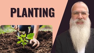 Mishnah Taanit Chapter 1 Mishnah 7 Planting [upl. by Llenyar]