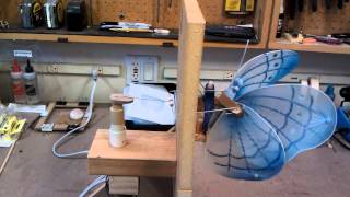 Butterfly Wing Flapping Test [upl. by Rolanda]