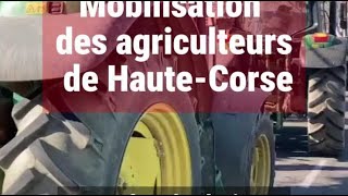 Bastia  le convoi des agriculteurs pénètre dans le centreville [upl. by Eenej574]