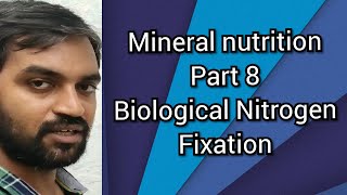 Biological nitrogen fixation  Mineral nutrition part 8 [upl. by Hearn424]