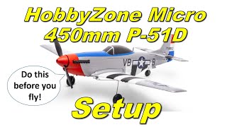 Setup for the HobbyZone 450mm P51D Mustang RTF Micro Trainer [upl. by Dittman]