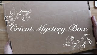 Cricut mystery box Berry Blast [upl. by Neerol137]