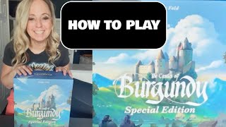 Castles of Burgundy SE How to Set Up and Play [upl. by Chloras810]