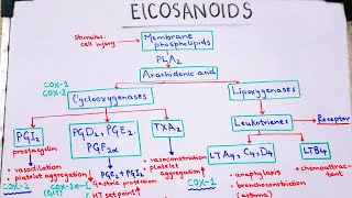 Eicosanoids pharmacology PROSTAGLANDINS made EASY and QUICK [upl. by Boyt]