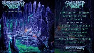 PAGANIZER Sweden  Beyond The Macabre FULL ALBUM STREAM Death Metal Transcending Obscurity [upl. by Assenej477]