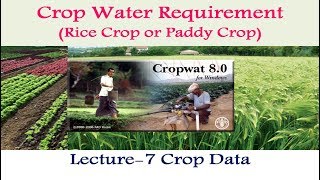 CropWAT 80 Crop Data for Paddy Crop  7 [upl. by Miahc731]