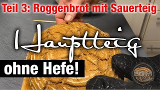 Teil 3 Brotteig fertig machen und backen  Roggenbrot mit Sauerteig und Altbrot Recyceling [upl. by Aramahs]