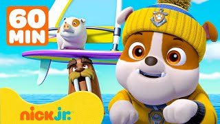 Paw Patrol  ¡Rubble de PAW Patrol está de racha rescatando animales SALVAJES  Nick Jr en Español [upl. by Pearle177]