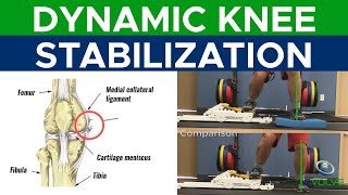 Medial Collateral Ligament MCL Injury  ReTraining Dynamic Knee Stability  Part 1 [upl. by Aubyn822]